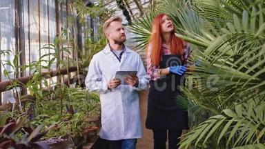 在一个农业温室里，红头发的女园丁向农业科学家展示了他所带的装饰植物